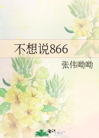 不想说866